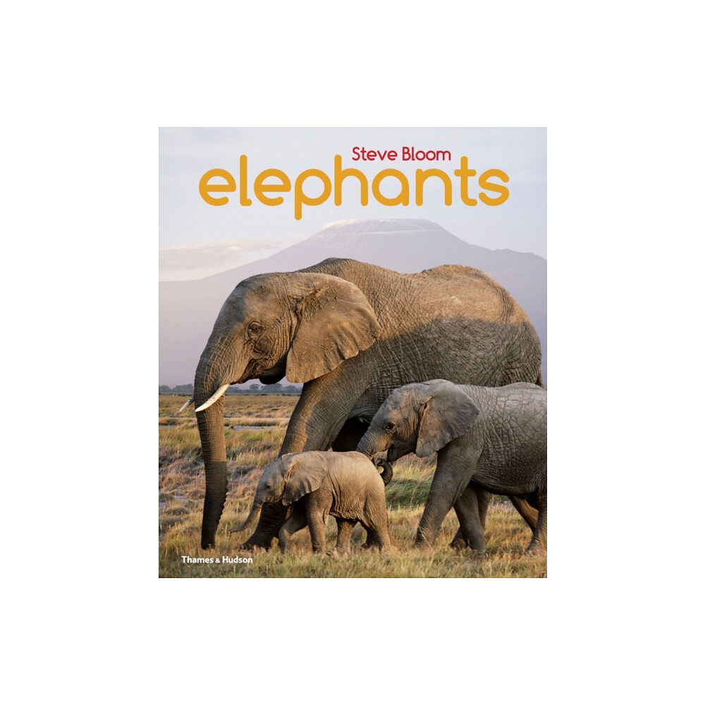 Thames & Hudson Ltd Elephants (häftad, eng)