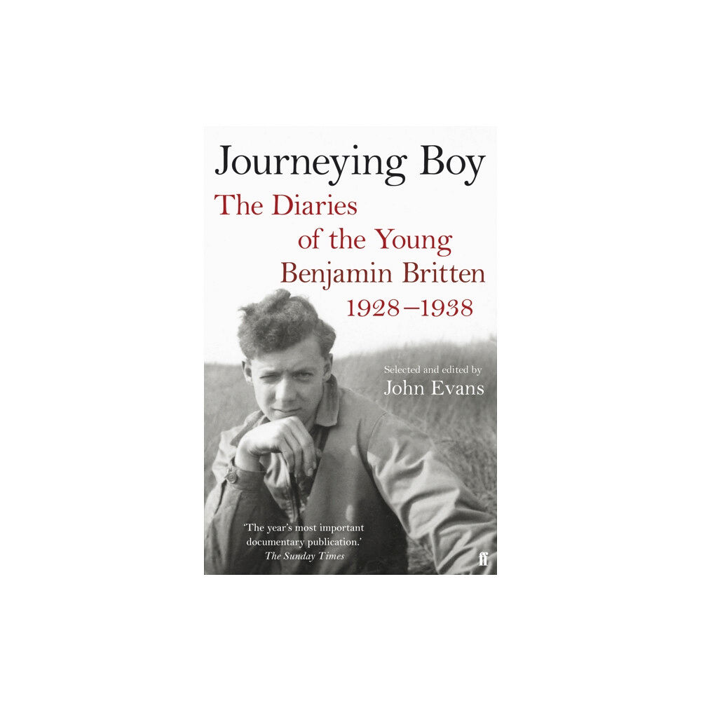 Faber & Faber Journeying Boy (häftad, eng)