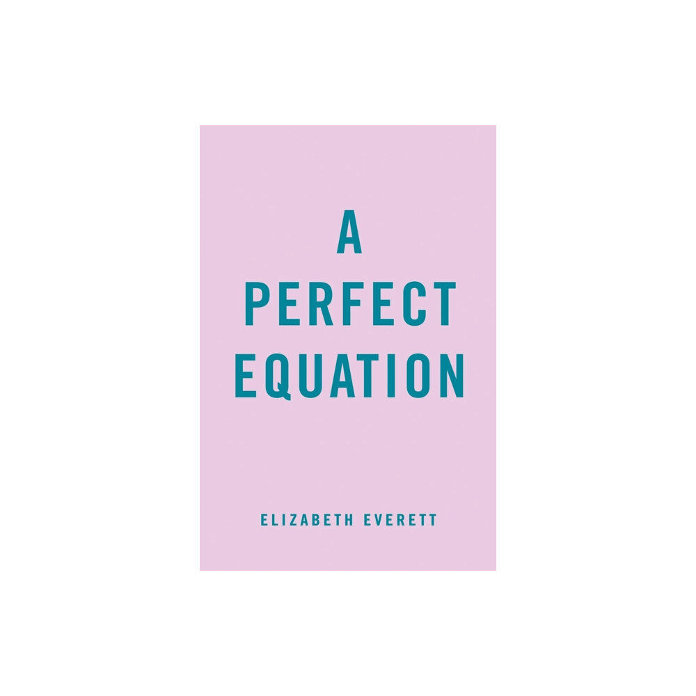 Penguin Putnam Inc A Perfect Equation (häftad, eng)