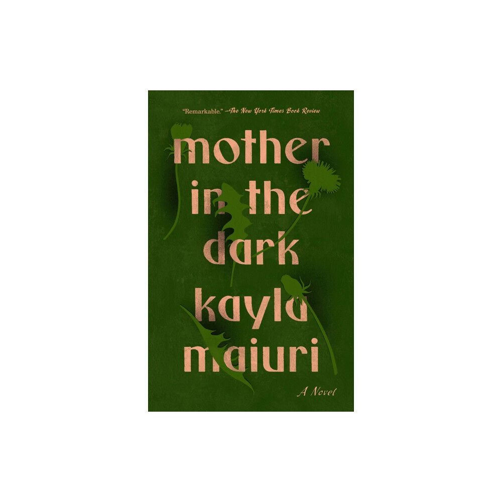 Penguin Putnam Inc Mother In The Dark (häftad, eng)