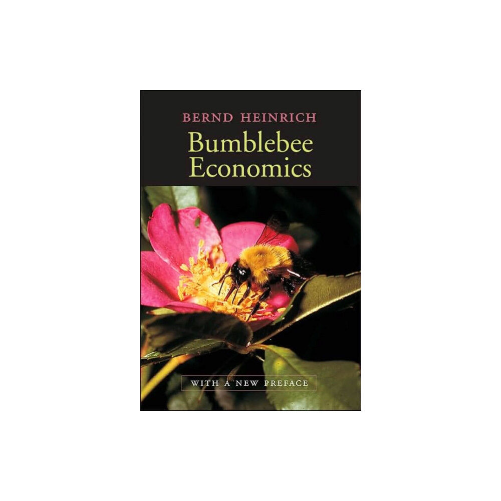 Harvard university press Bumblebee Economics (häftad, eng)