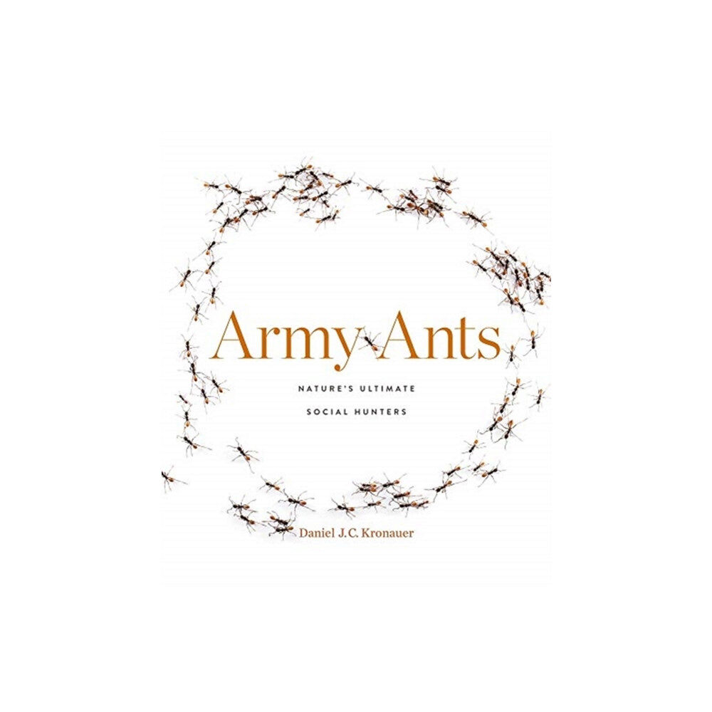 Harvard university press Army Ants (inbunden, eng)