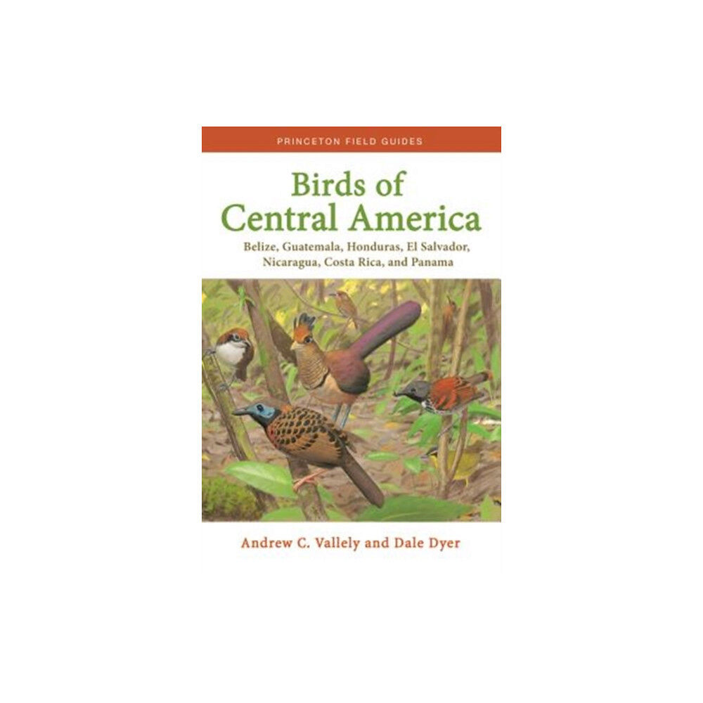 Princeton University Press Birds of Central America (häftad, eng)