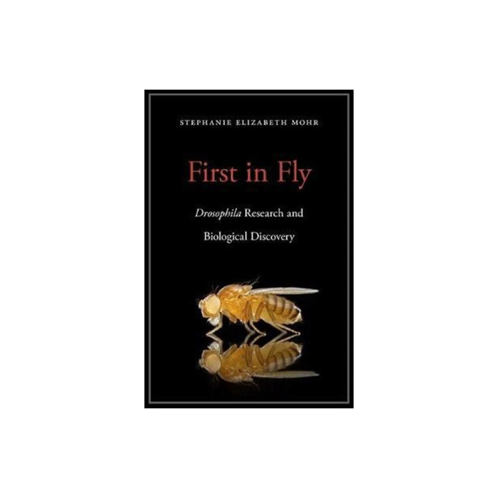 Harvard university press First in Fly (inbunden, eng)