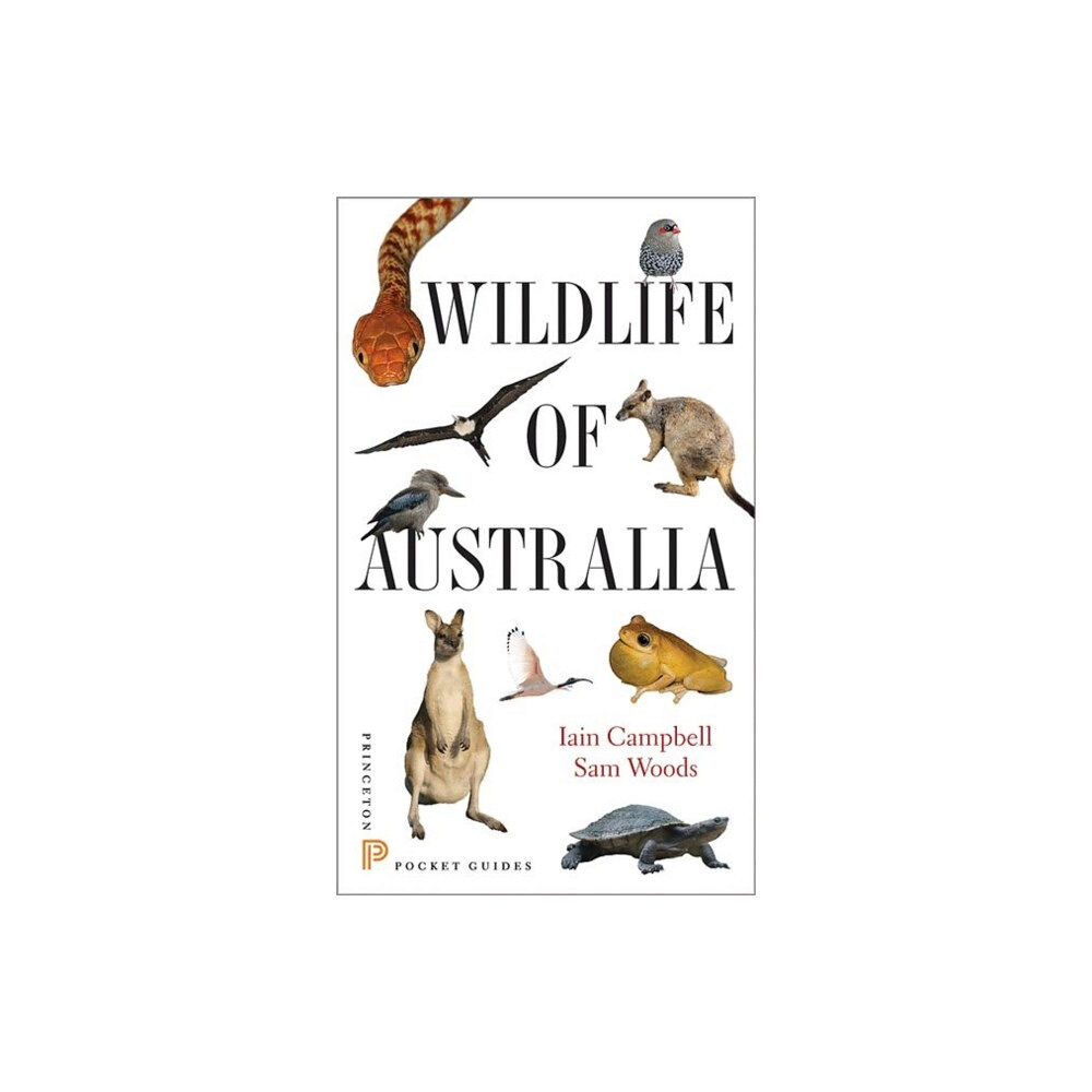 Princeton University Press Wildlife of Australia (häftad, eng)