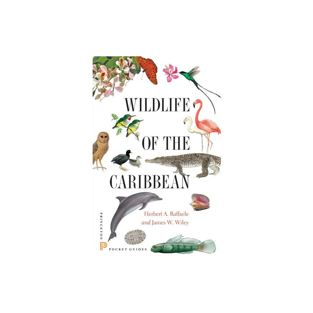 Princeton University Press Wildlife of the Caribbean (häftad, eng)