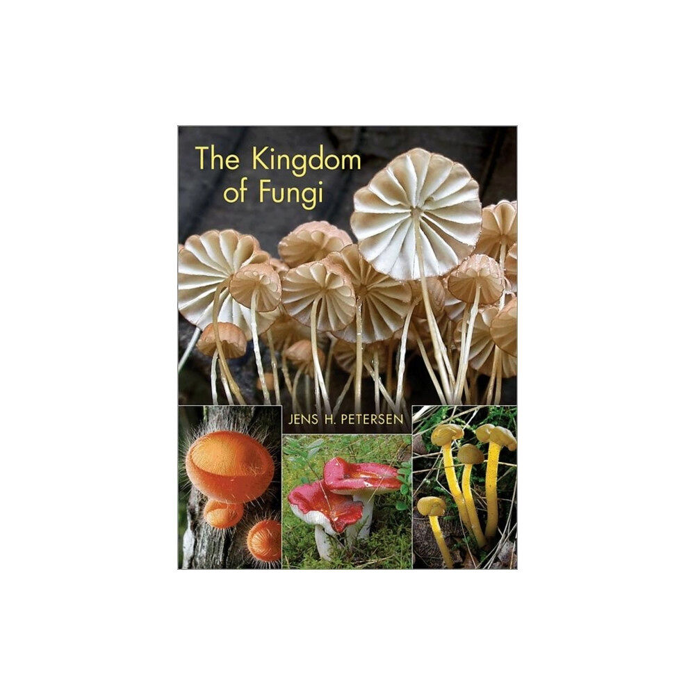 Princeton University Press The Kingdom of Fungi (inbunden, eng)