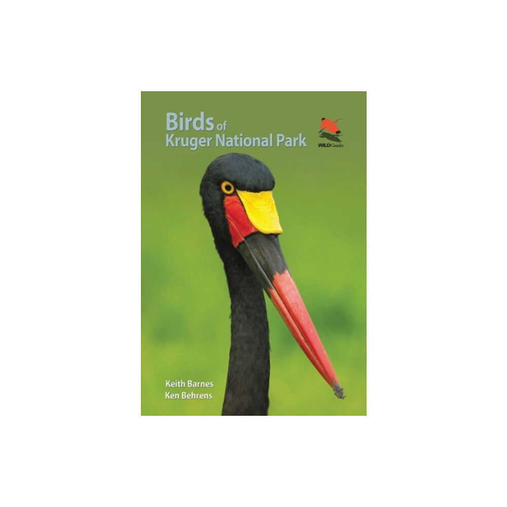 Princeton University Press Birds of Kruger National Park (häftad, eng)