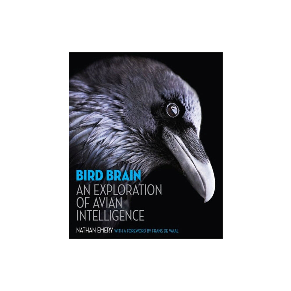 Princeton University Press Bird Brain (inbunden, eng)