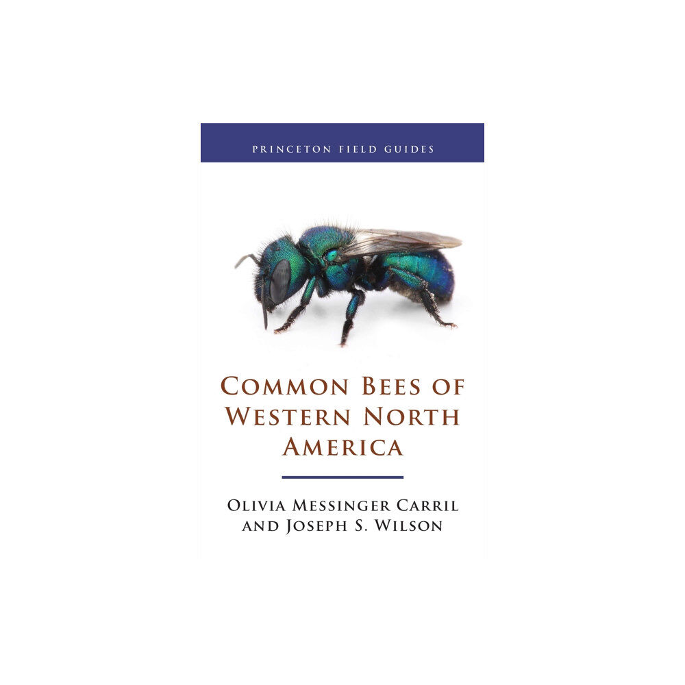 Princeton University Press Common Bees of Western North America (häftad, eng)