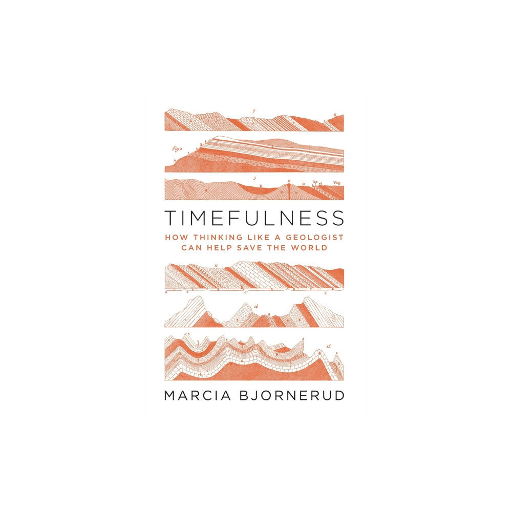 Princeton University Press Timefulness (inbunden, eng)