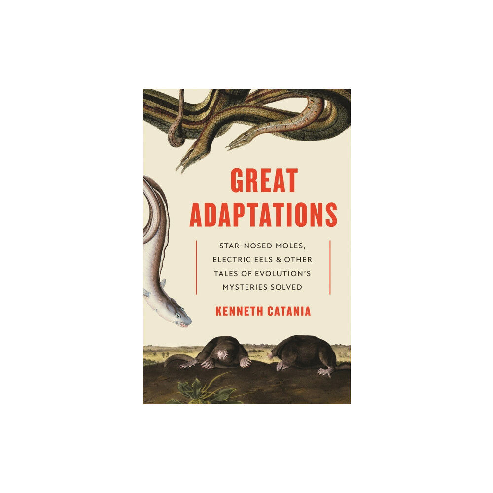 Princeton University Press Great Adaptations (inbunden, eng)