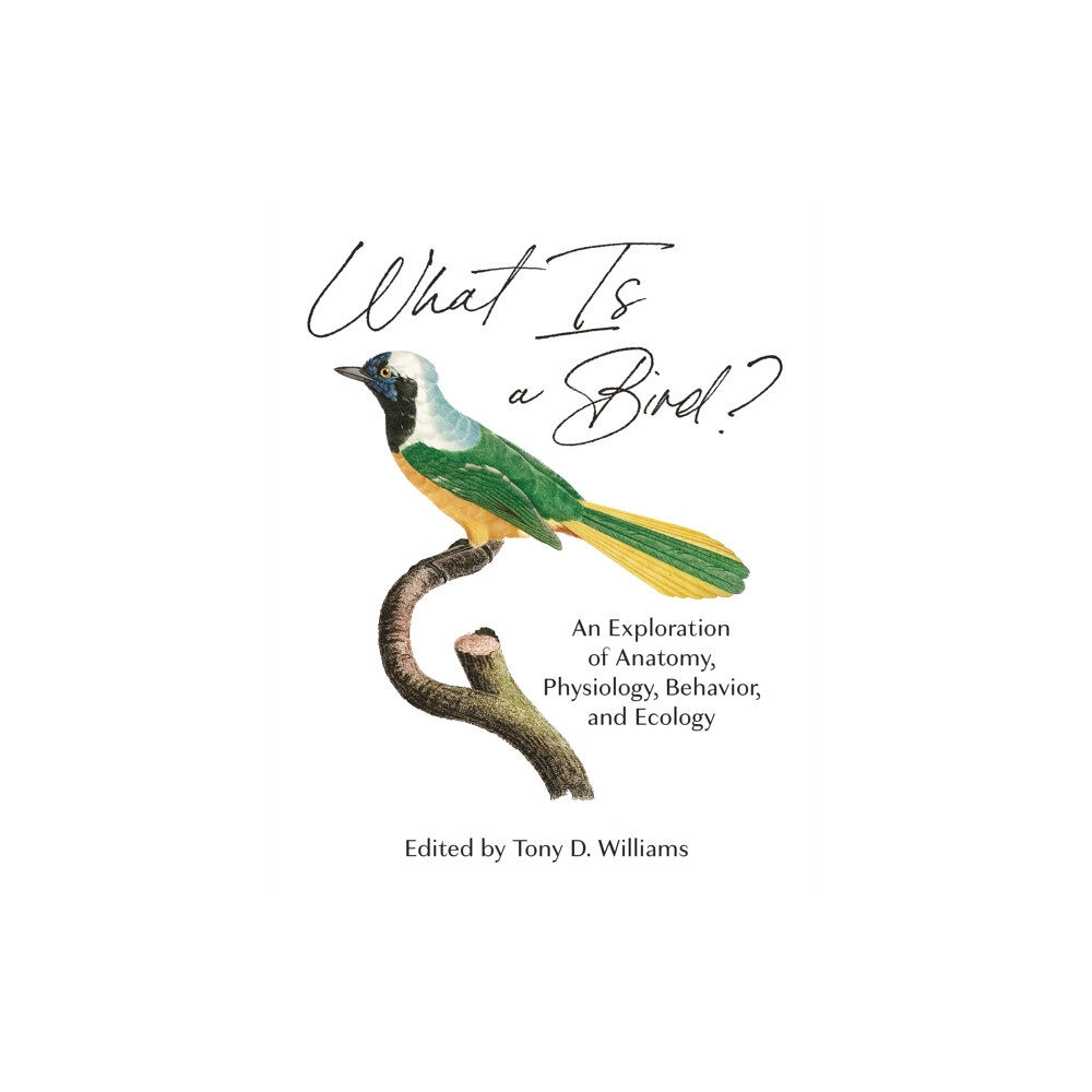 Princeton University Press What Is a Bird? (inbunden, eng)