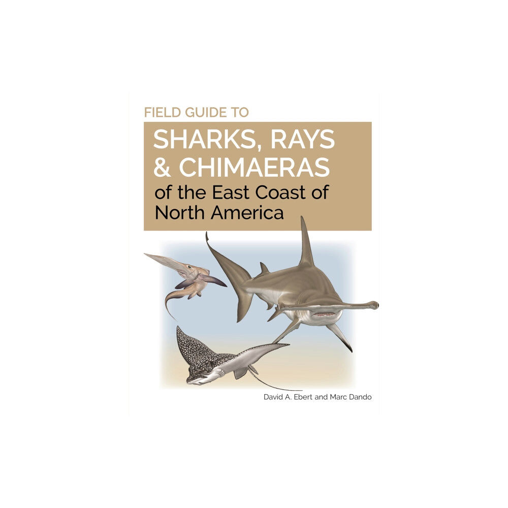 Princeton University Press Field Guide to Sharks, Rays and Chimaeras of the East Coast of North America (häftad, eng)