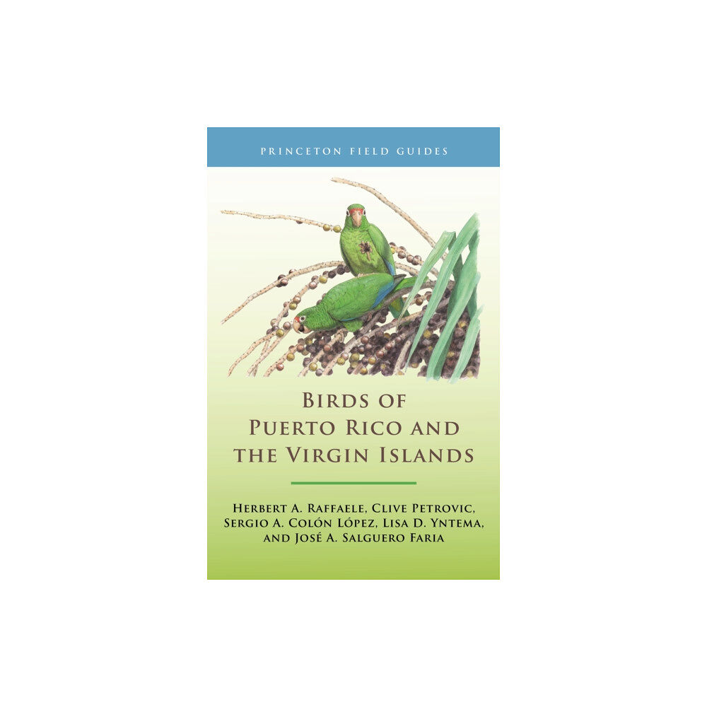 Princeton University Press Birds of Puerto Rico and the Virgin Islands (häftad, eng)