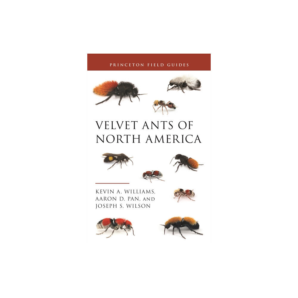 Princeton University Press Velvet Ants of North America (häftad, eng)