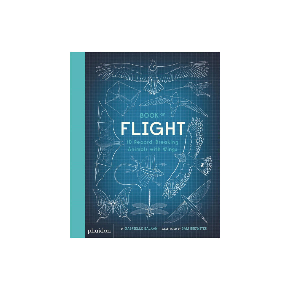 Phaidon Press Ltd Book of Flight (inbunden, eng)