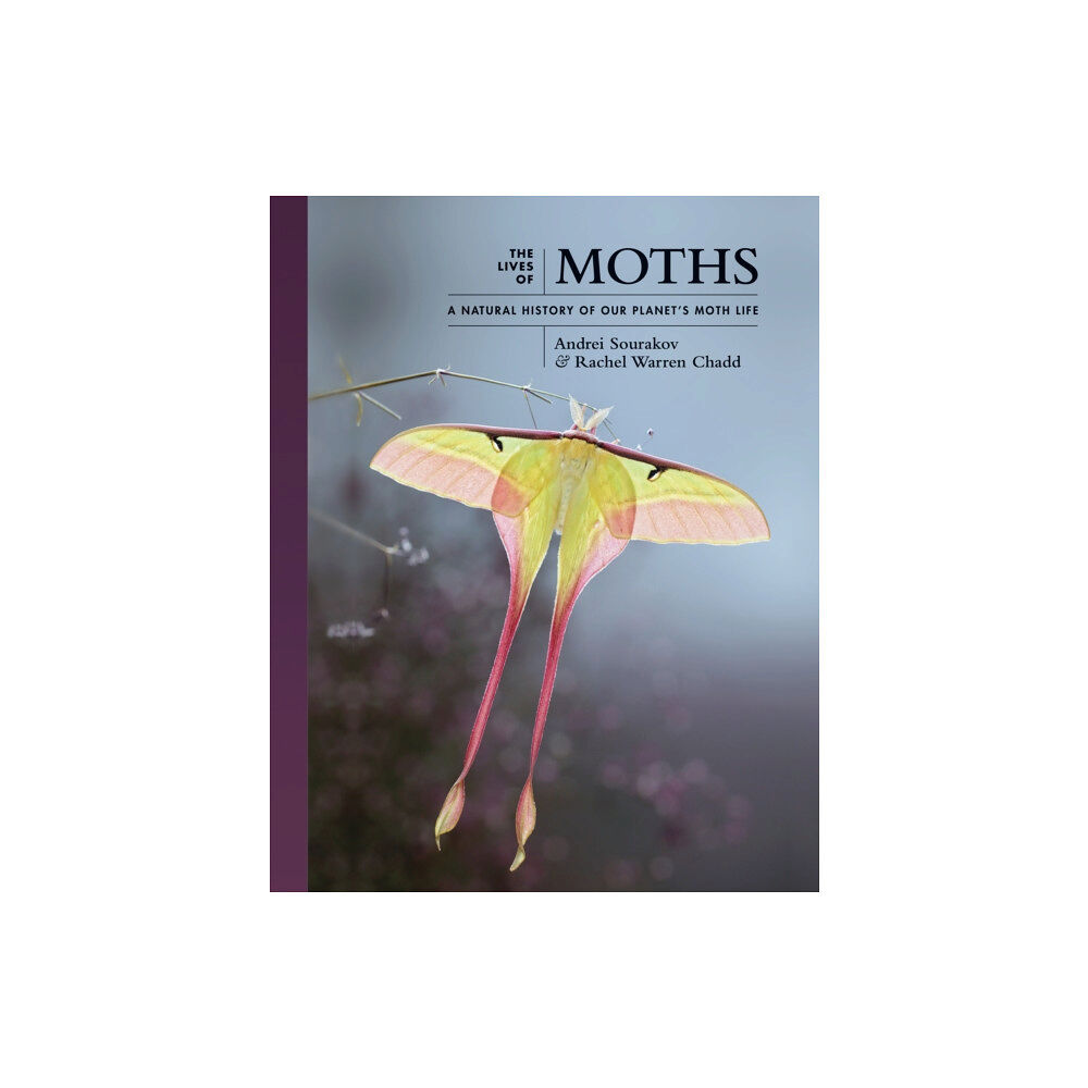 Princeton University Press The Lives of Moths (inbunden, eng)