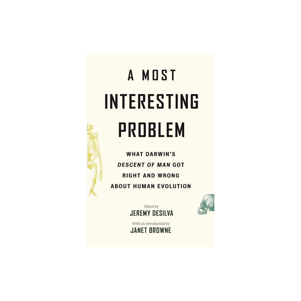 Princeton University Press A Most Interesting Problem (häftad, eng)