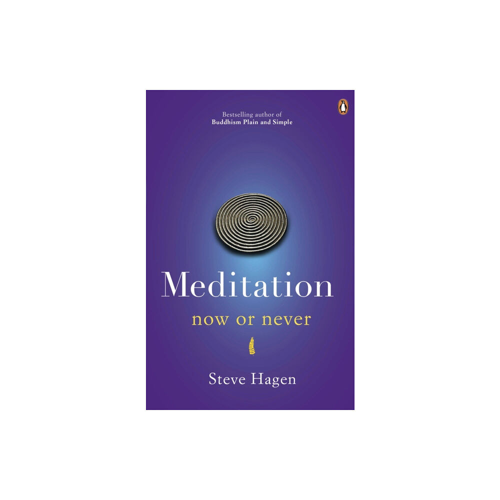 Penguin books ltd Meditation Now or Never (häftad, eng)