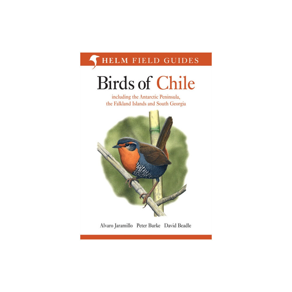 Bloomsbury Publishing PLC Birds of Chile (häftad, eng)