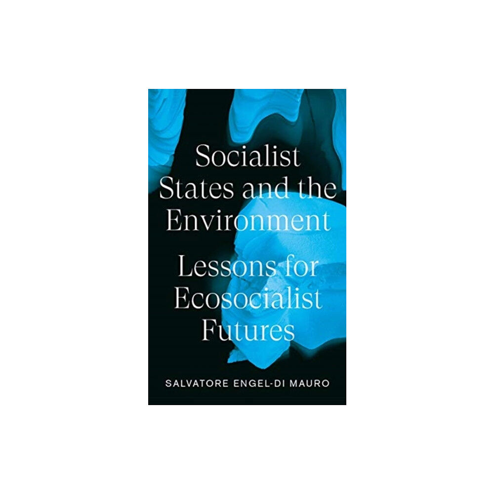 Pluto Press Socialist States and the Environment (häftad, eng)