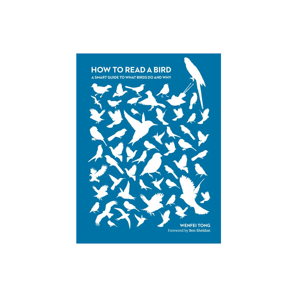 The History Press Ltd How to Read a Bird (häftad, eng)