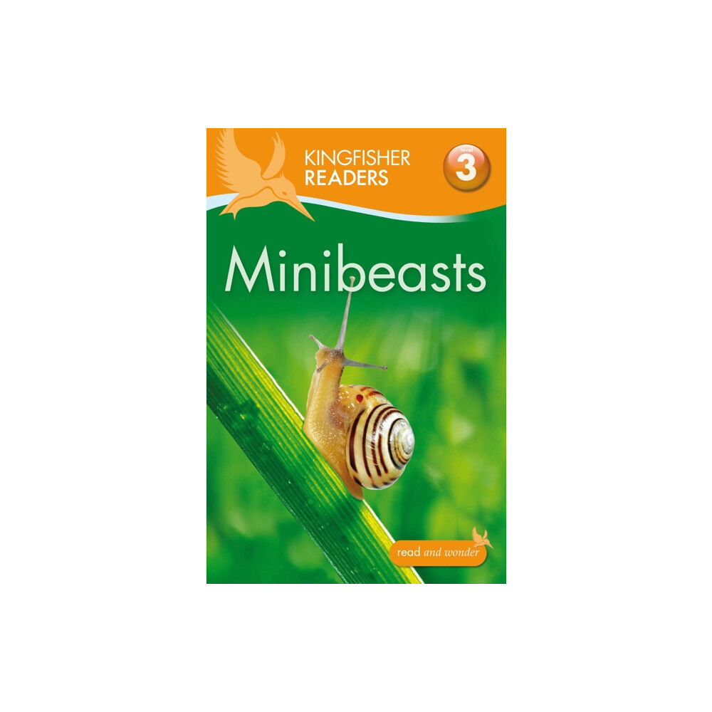 Pan Macmillan Kingfisher Readers: Minibeasts (Level 3: Reading Alone with Some Help) (häftad, eng)