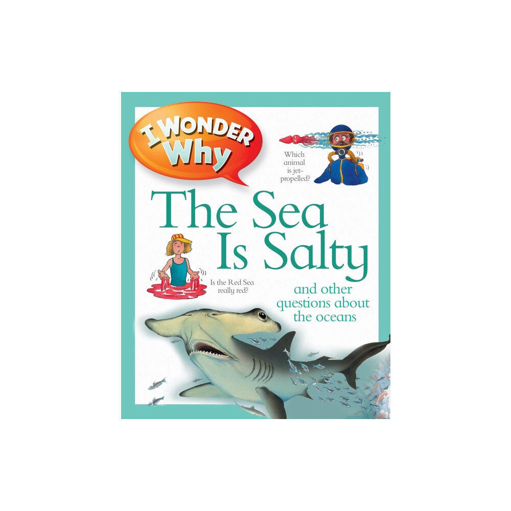 Pan Macmillan I Wonder Why the Sea is Salty (häftad, eng)