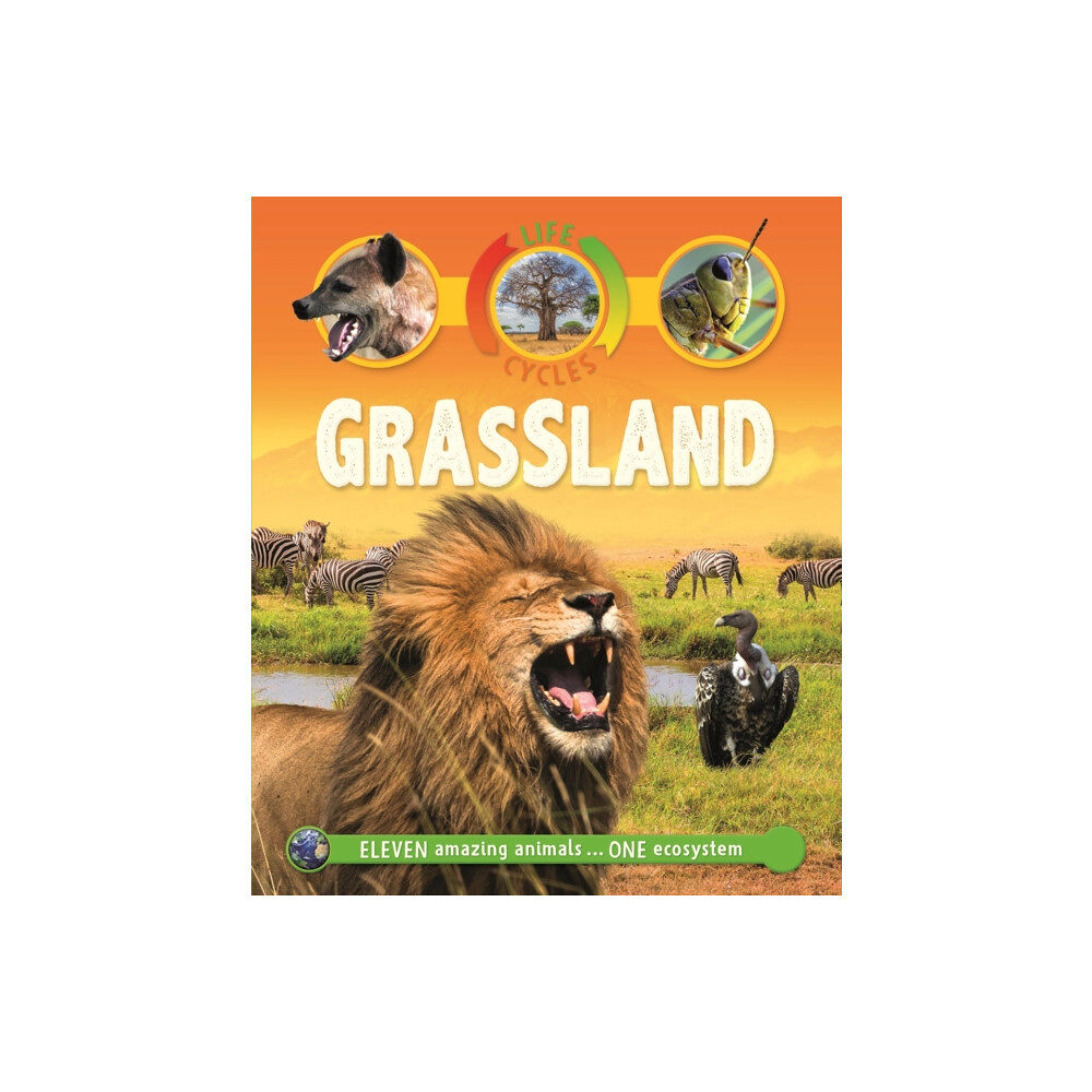 Pan Macmillan Life Cycles: Grassland (häftad, eng)