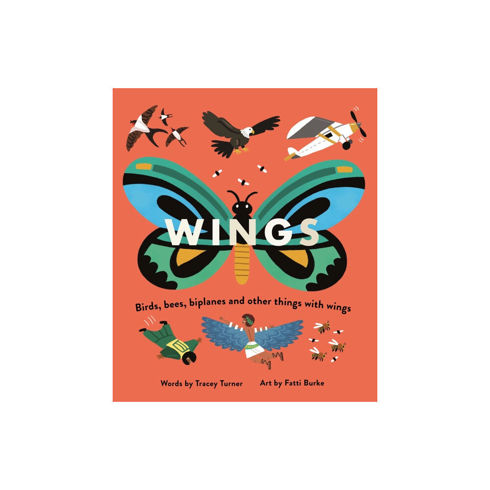 Pan Macmillan Wings (häftad, eng)