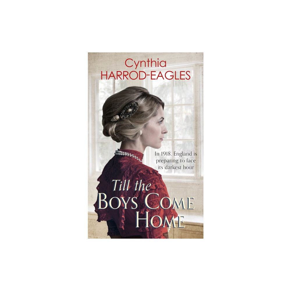 Little, Brown Book Group Till the Boys Come Home (häftad, eng)