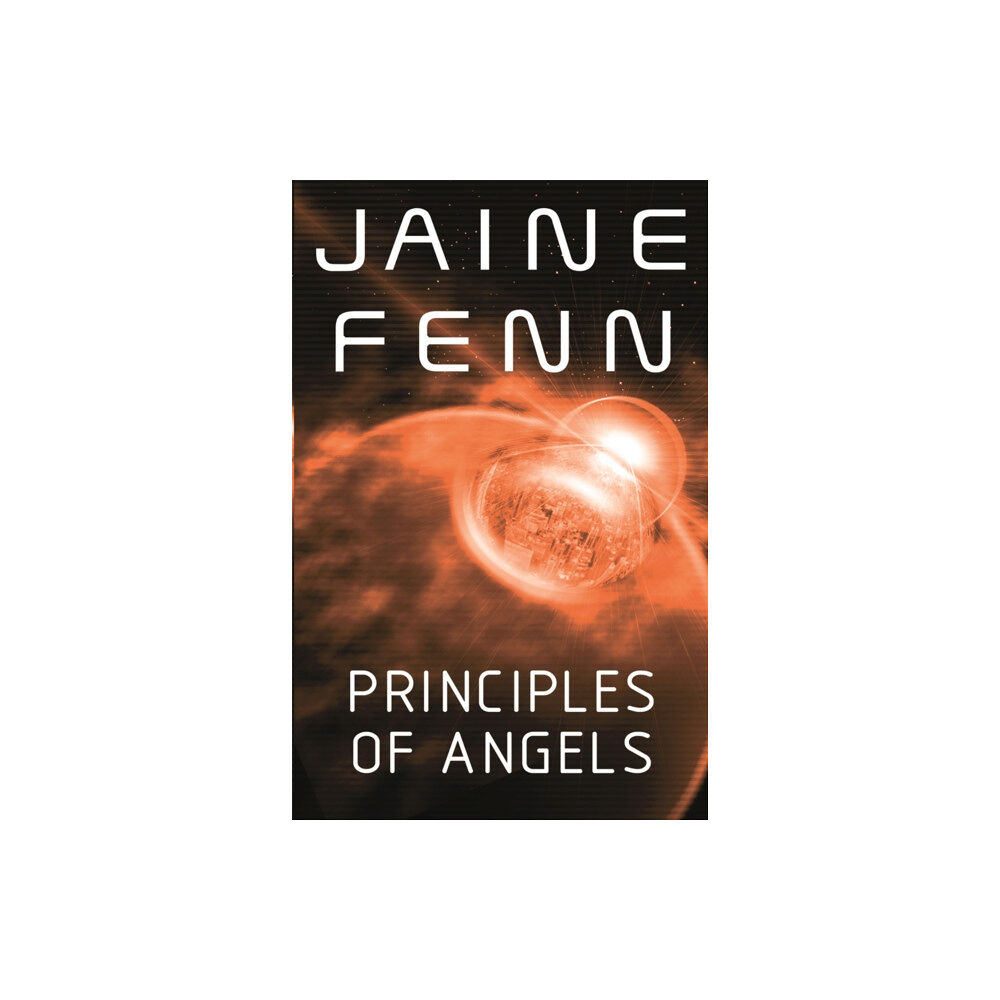 Orion Publishing Co Principles of Angels (häftad, eng)