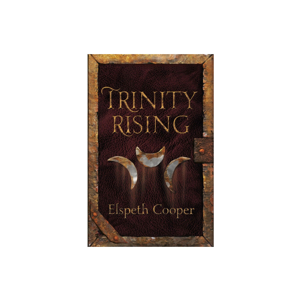 Orion Publishing Co Trinity Rising (häftad, eng)