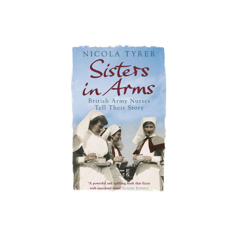 Orion Publishing Co Sisters In Arms (häftad, eng)