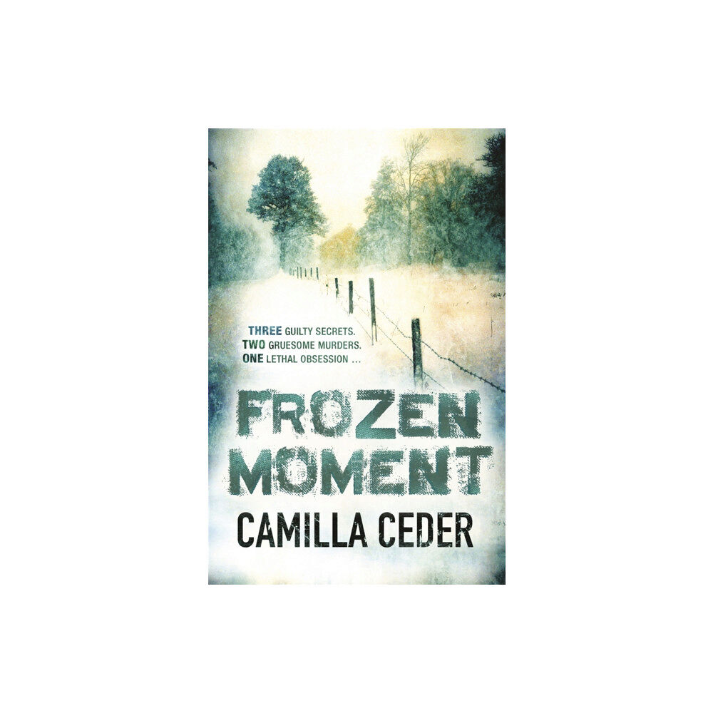 Orion Publishing Co Frozen Moment (häftad, eng)