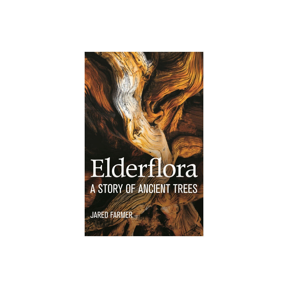 Pan Macmillan Elderflora (häftad, eng)