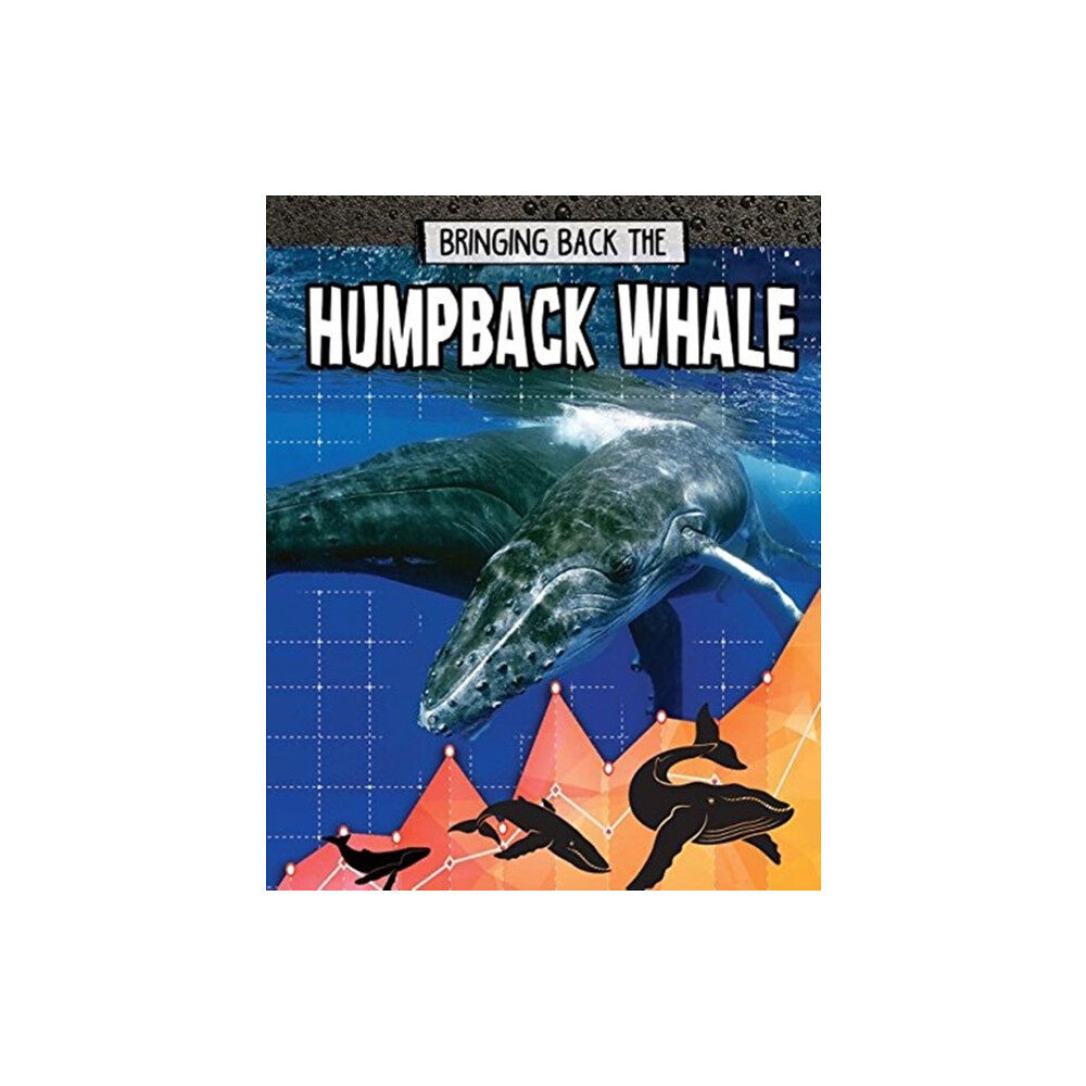 Crabtree Publishing Co,US Humpback Whale (häftad, eng)