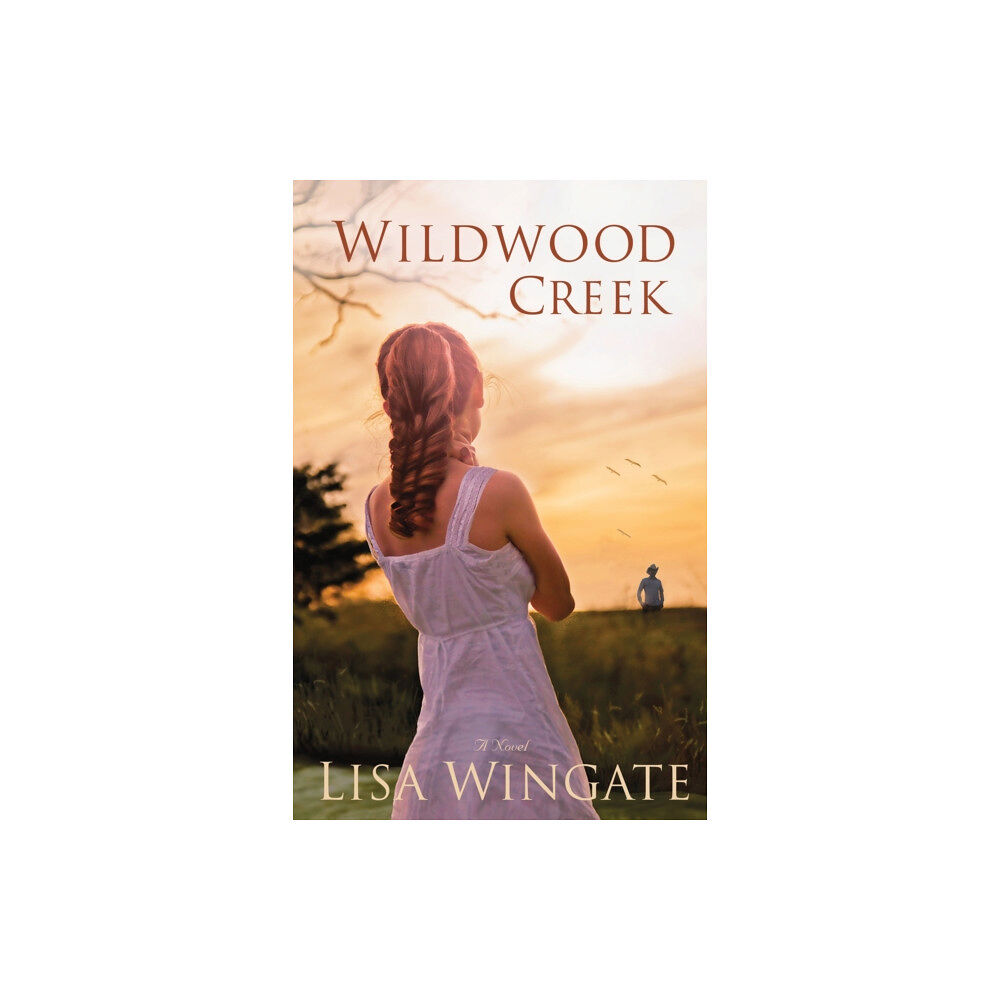 Baker publishing group Wildwood Creek – A Novel (häftad, eng)