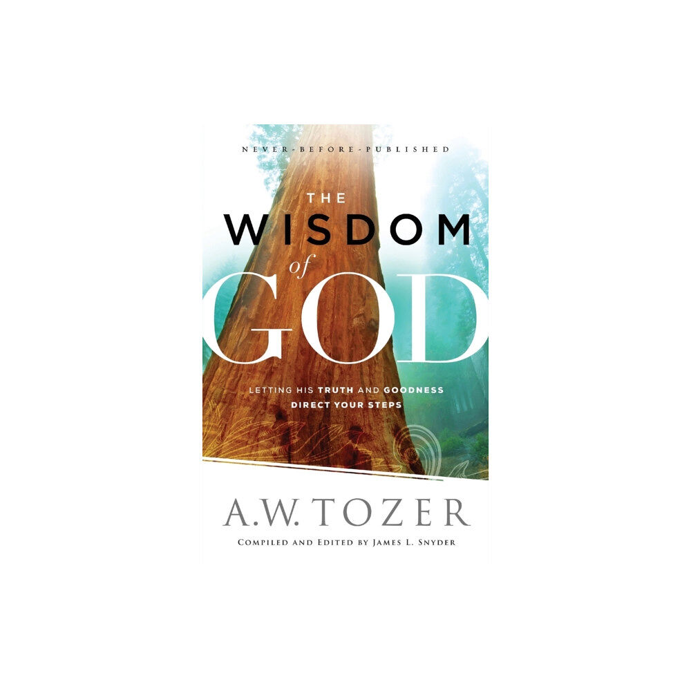 Baker publishing group The Wisdom of God – Letting His Truth and Goodness Direct Your Steps (häftad, eng)