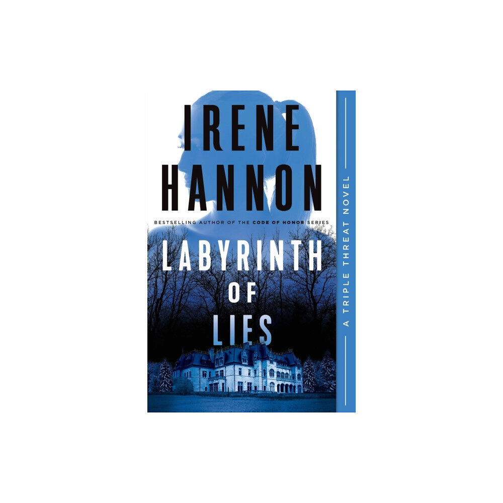 Baker publishing group Labyrinth of Lies (häftad, eng)