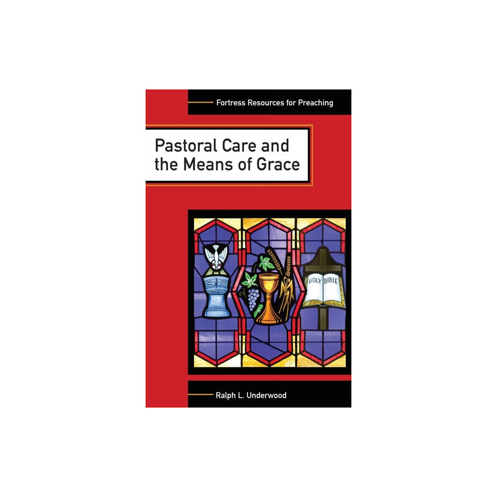 1517 Media Pastoral Care and the Means of Grace (häftad, eng)