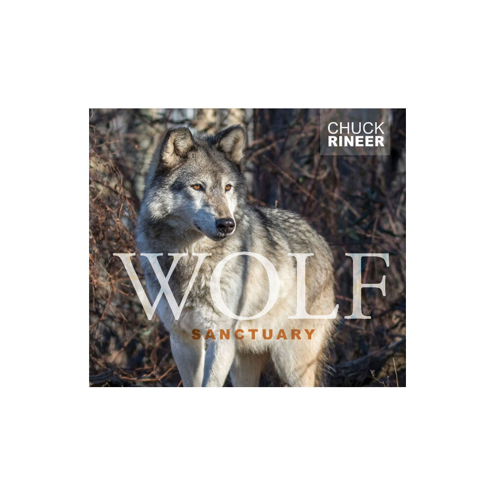 Schiffer Publishing Ltd Wolf Sanctuary (inbunden, eng)