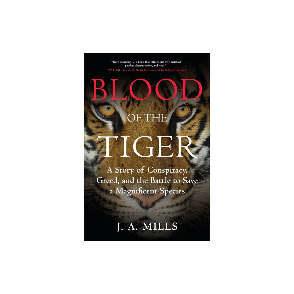 Beacon Press Blood of the Tiger (häftad, eng)