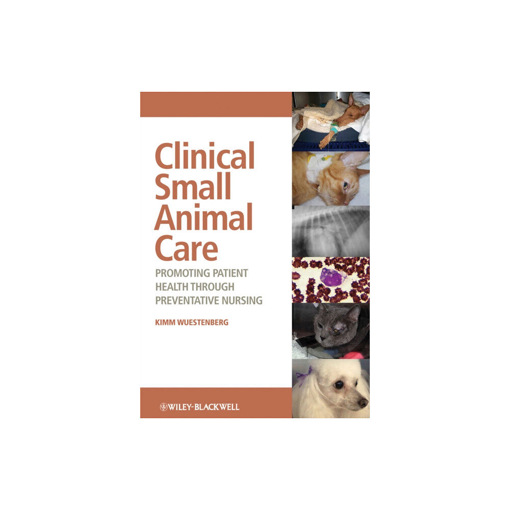 John Wiley And Sons Ltd Clinical Small Animal Care (häftad, eng)