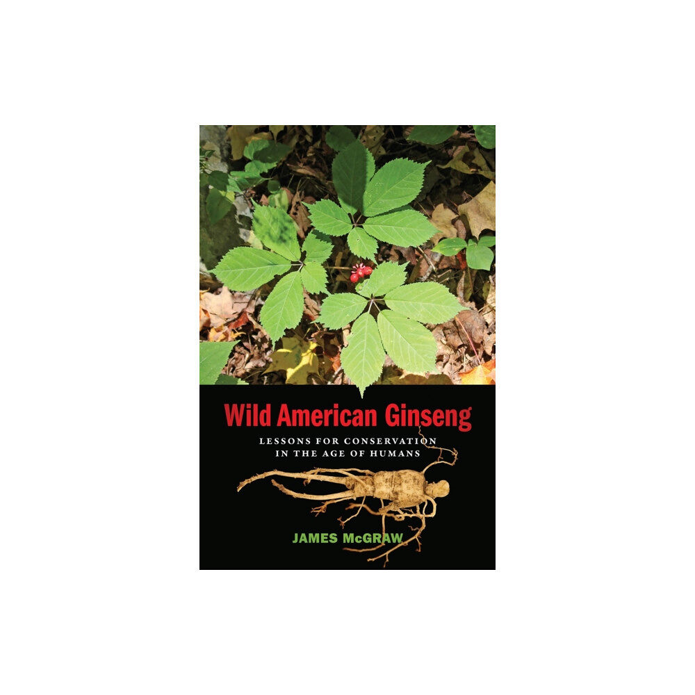 University of Georgia Press Wild American Ginseng (häftad, eng)