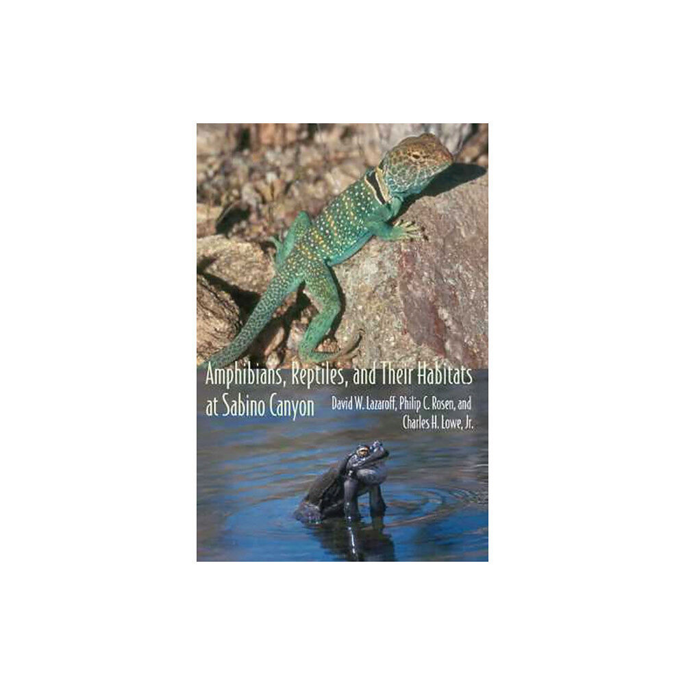 University of Arizona Press Amphibians, Reptiles, and Their Habitats at Sabino Canyon (häftad, eng)