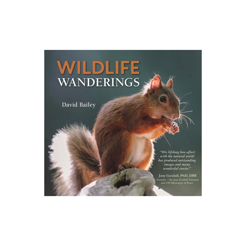 Halsgrove Wildlife Wanderings (inbunden, eng)