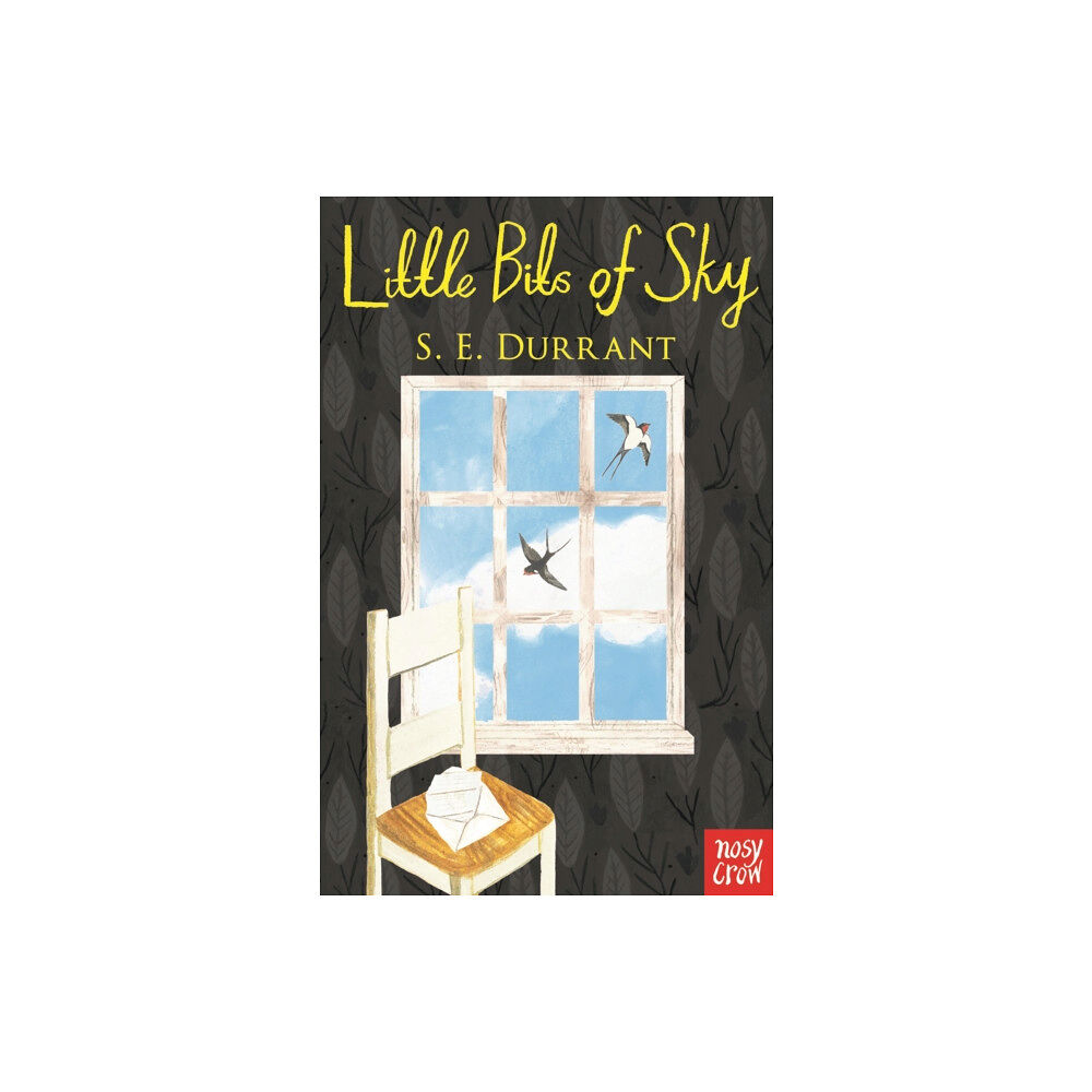 Nosy Crow Ltd Little Bits of Sky (häftad, eng)