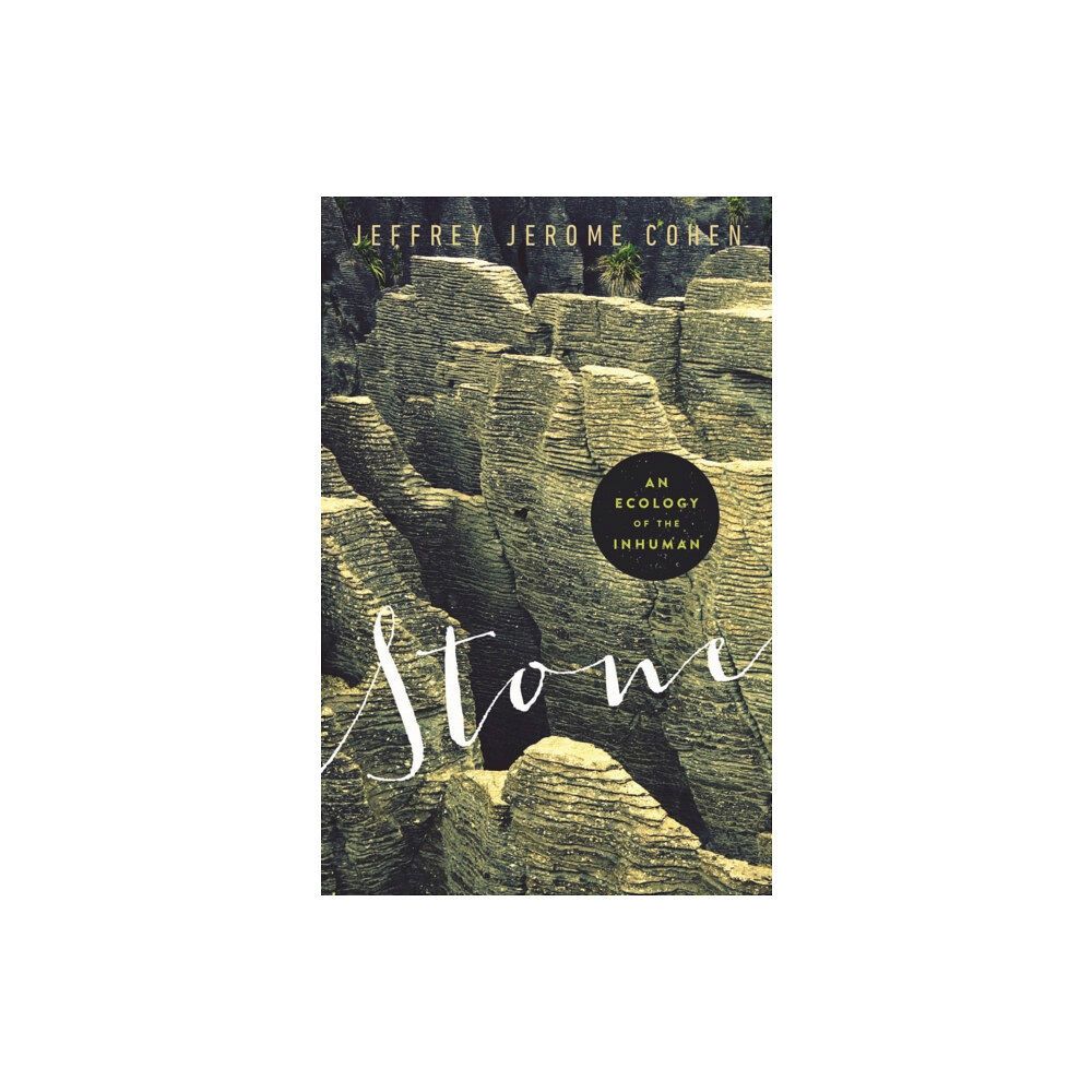 University of Minnesota Press Stone (häftad, eng)
